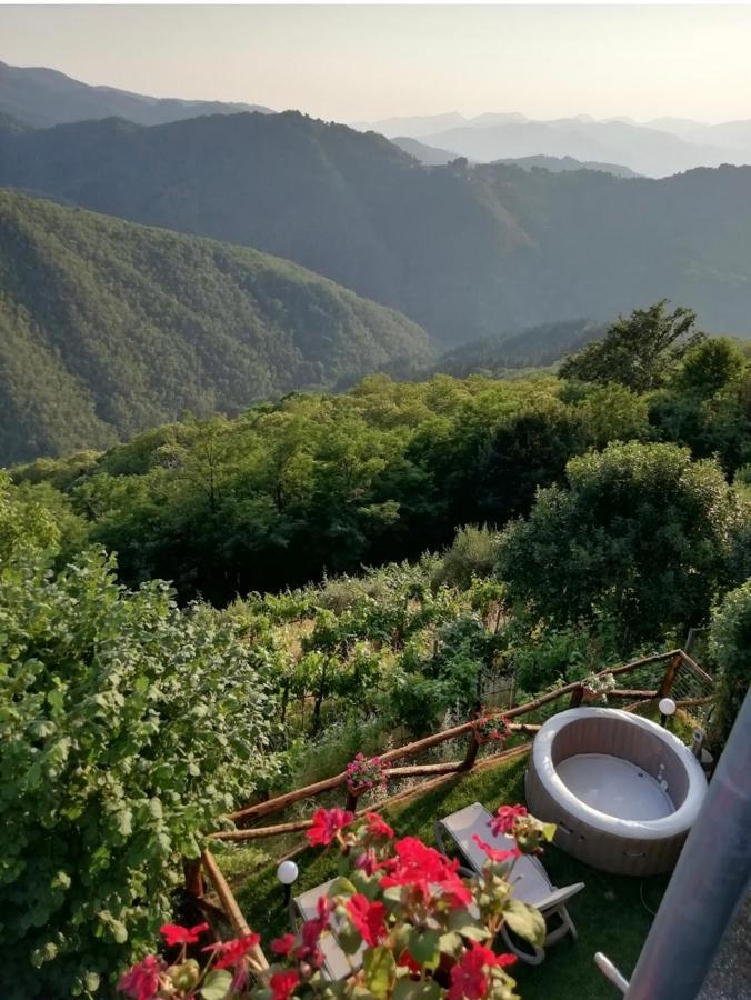 Home Holidays Crasciana, Con Terrazza Vista Sulle Alpi Apuane. Exteriér fotografie